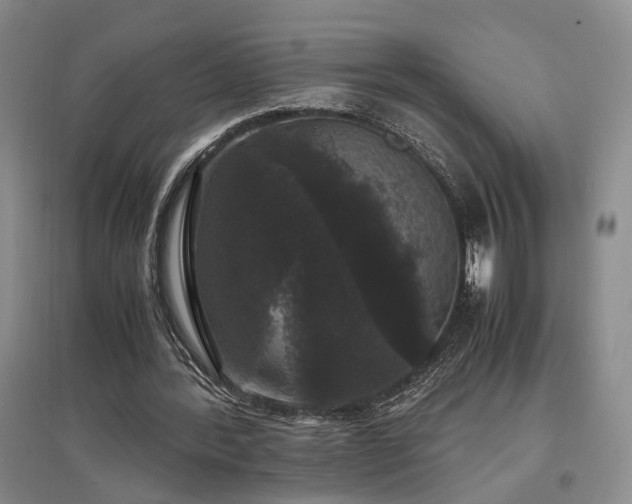 X0000097500388200802221449