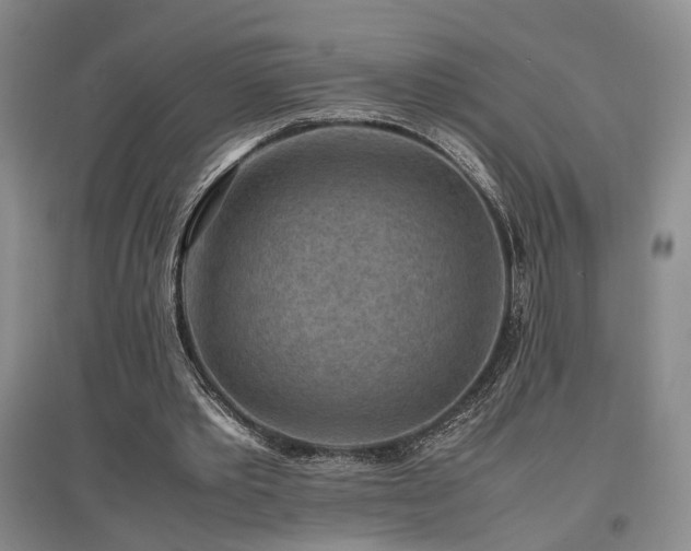 X0000097500389200802221449