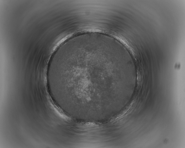 X0000097500390200802221449