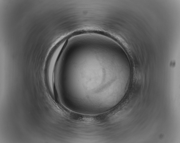 X0000097500391200802221449