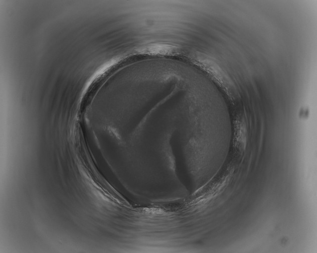 X0000097500392200802221449