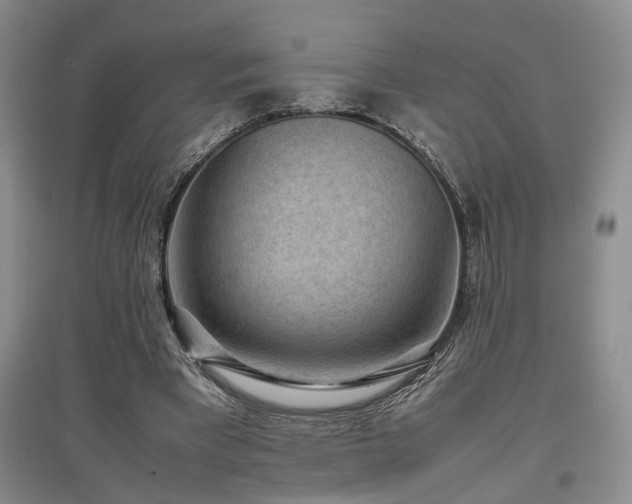 X0000097500393200802221449