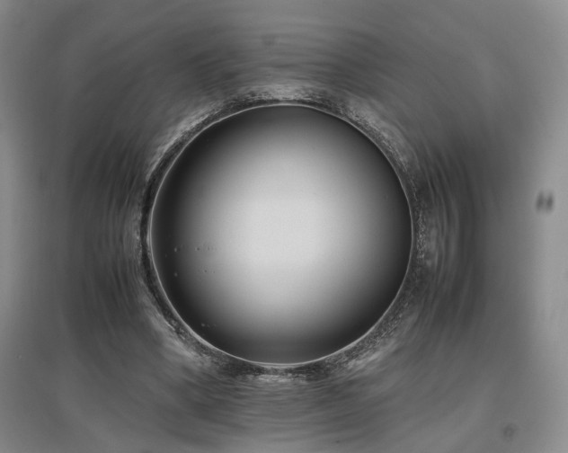 X0000097500394200802221449