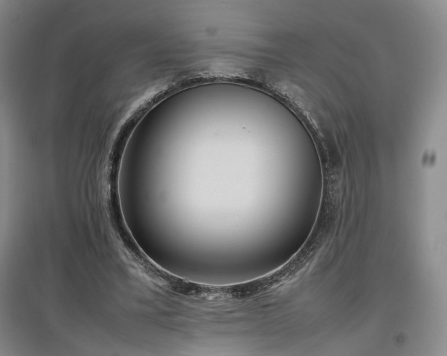 X0000097500395200802221449