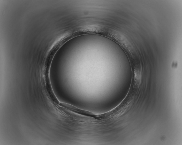 X0000097500396200802221449