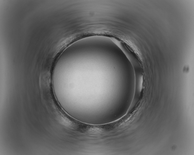 X0000097500397200802221449