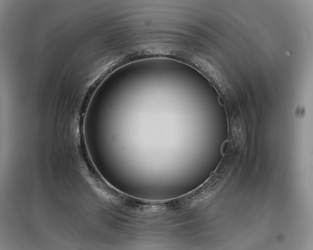 X0000097500398200802221449