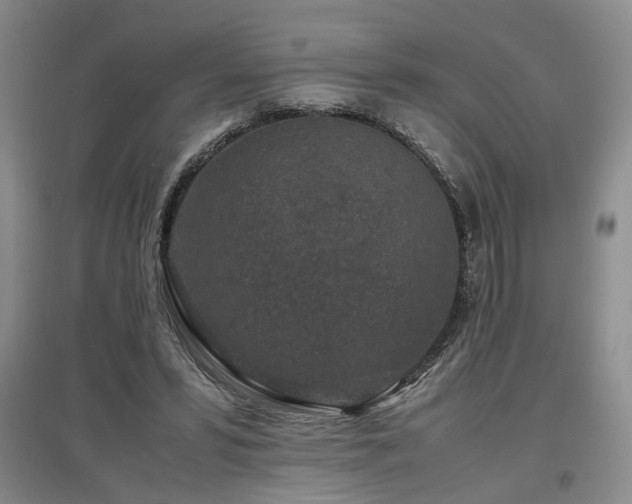 X0000097500399200802221449