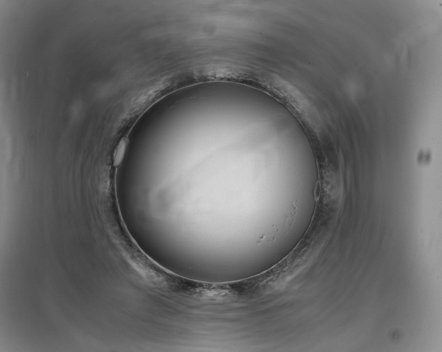 X0000097500401200802221449