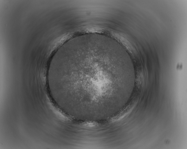 X0000097500402200802221449