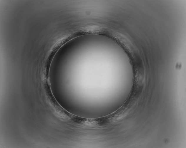 X0000097500403200802221449