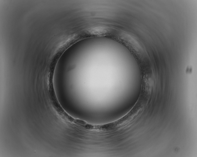 X0000097500404200802221449