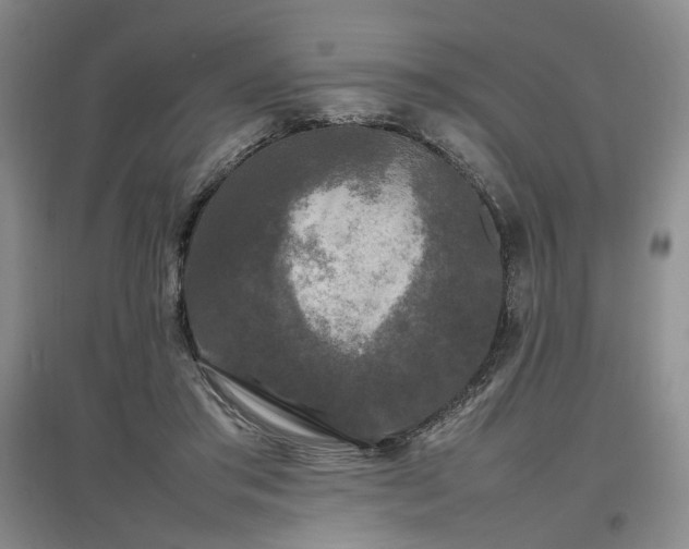 X0000097500405200802221449