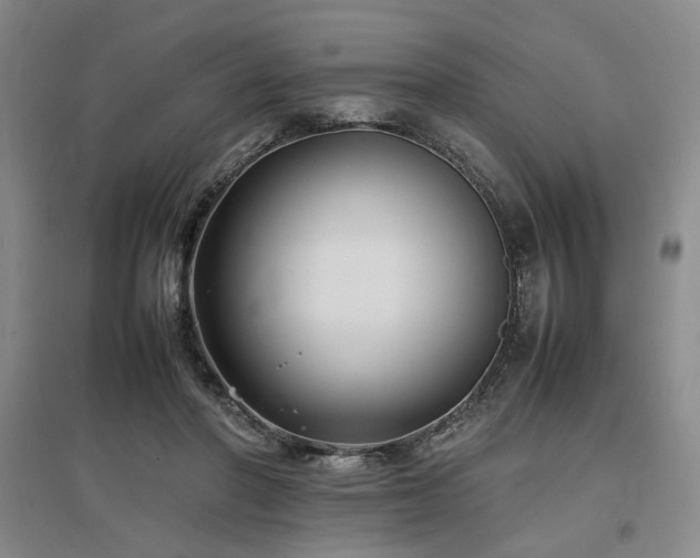 X0000097500406200802221449
