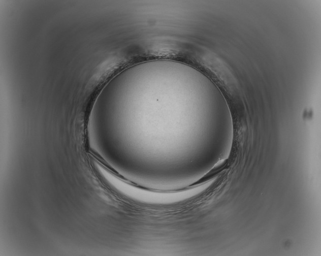 X0000097500407200802221449
