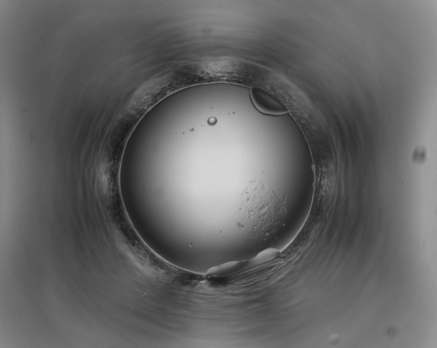 X0000097500408200802221449
