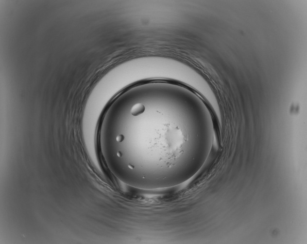 X0000097500409200802221449