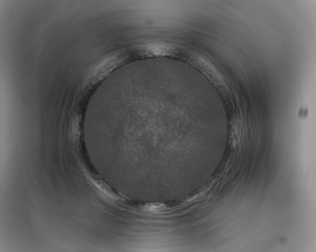 X0000097500410200802221449