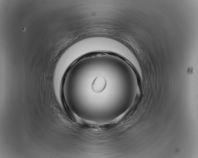X0000097500411200802221449