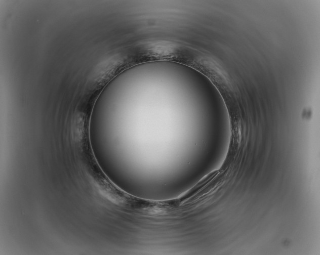 X0000097500412200802221449