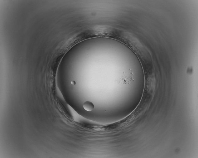 X0000097500413200802221449
