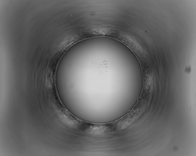 X0000097500414200802221449
