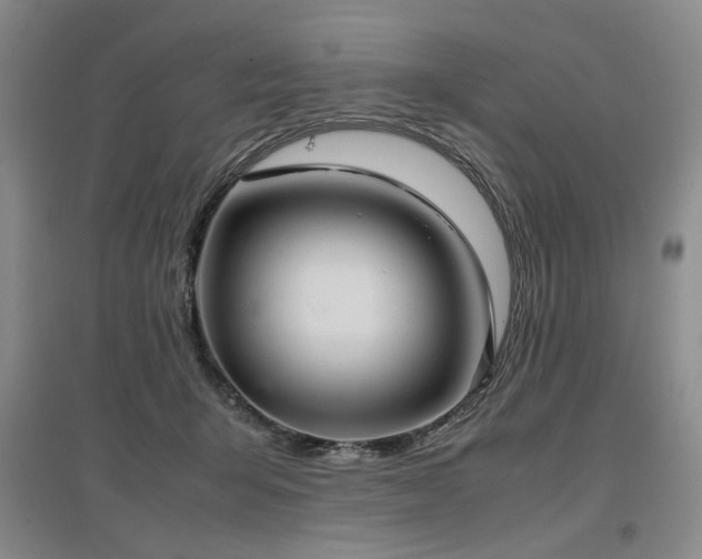 X0000097500415200802221449