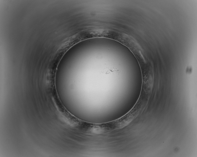 X0000097500416200802221449