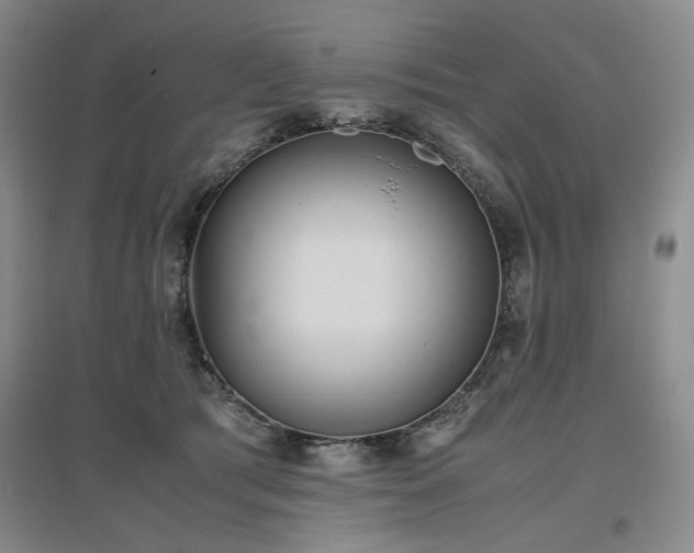 X0000097500417200802221449