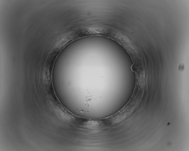 X0000097500418200802221449