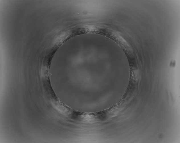 X0000097500419200802221449