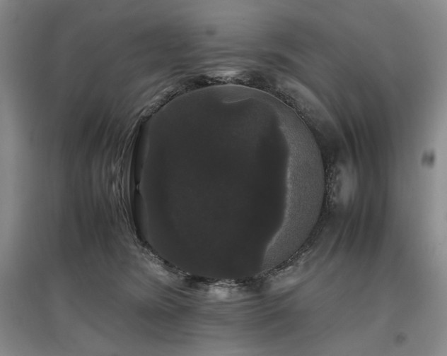X0000097500420200802221449