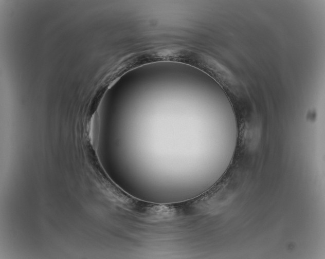 X0000097500421200802221449