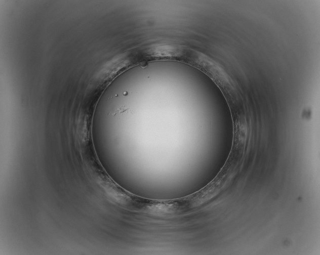 X0000097500422200802221449