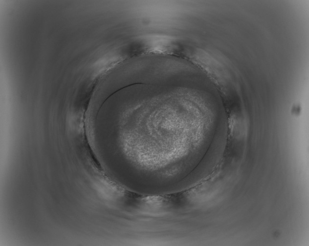 X0000097500423200802221449
