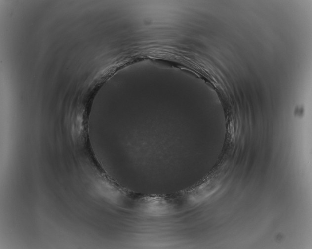 X0000097500424200802221449