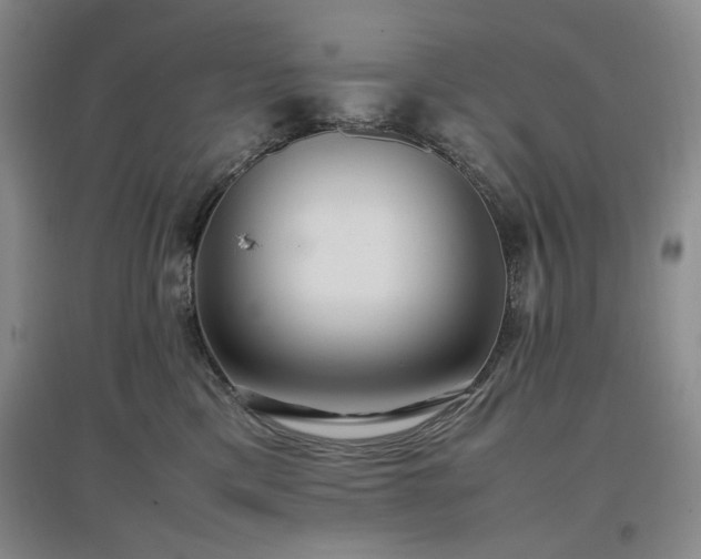 X0000097500425200802221448