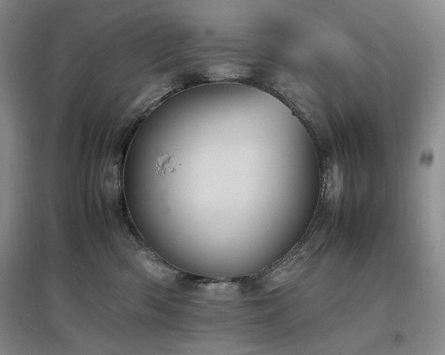 X0000097500426200802221448