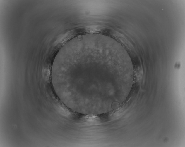 X0000097500427200802221448