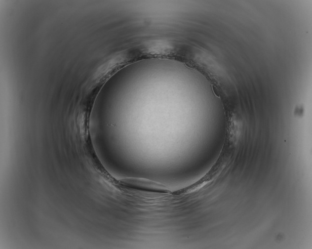 X0000097500428200802221448