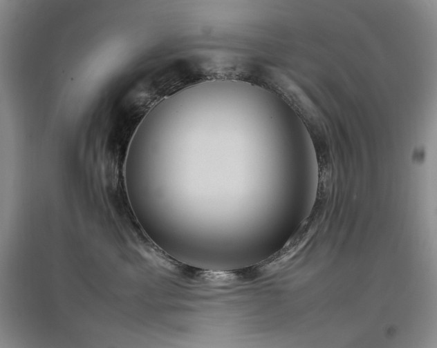 X0000097500429200802221448