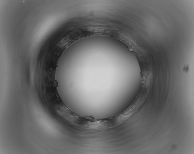 X0000097500430200802221448