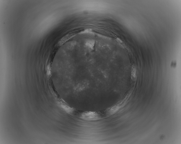 X0000097500431200802221448