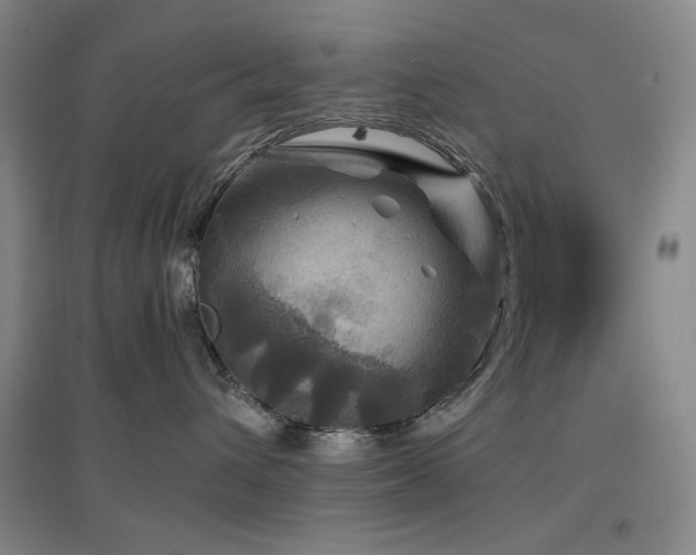 X0000097500432200802221448