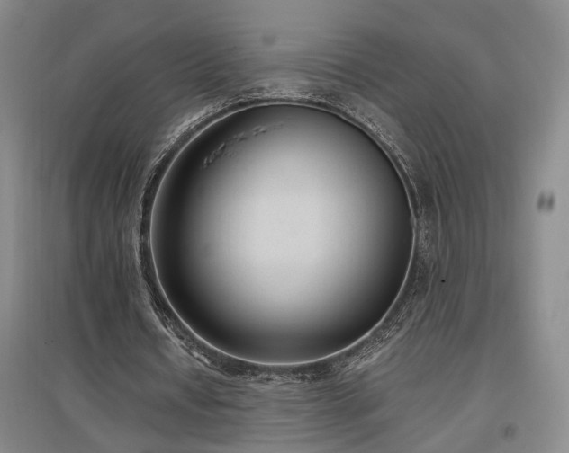 X0000097500434200802221448