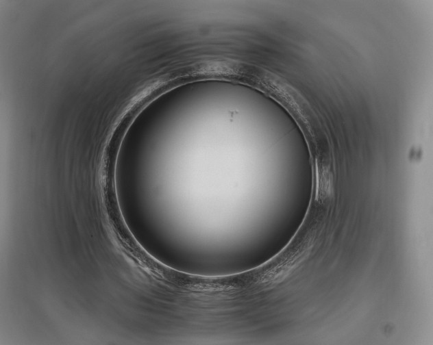 X0000097500435200802221448