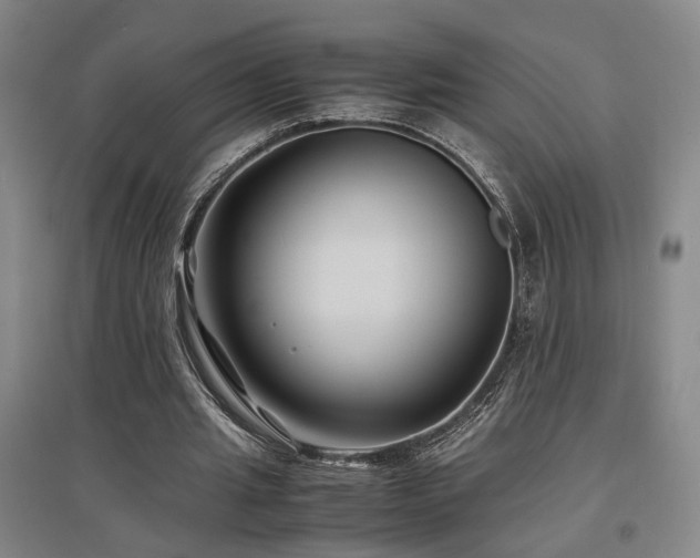 X0000097500437200802221448