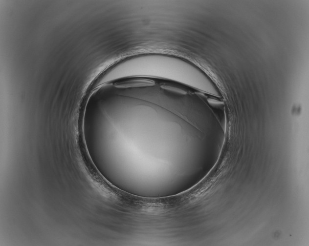 X0000097500438200802221448