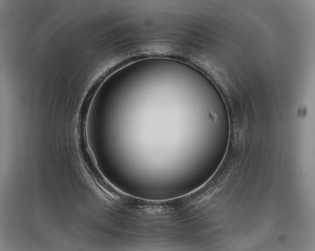 X0000097500439200802221448