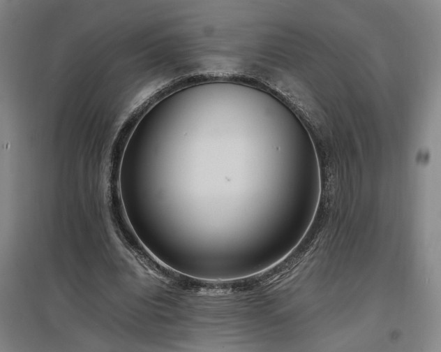 X0000097500440200802221448